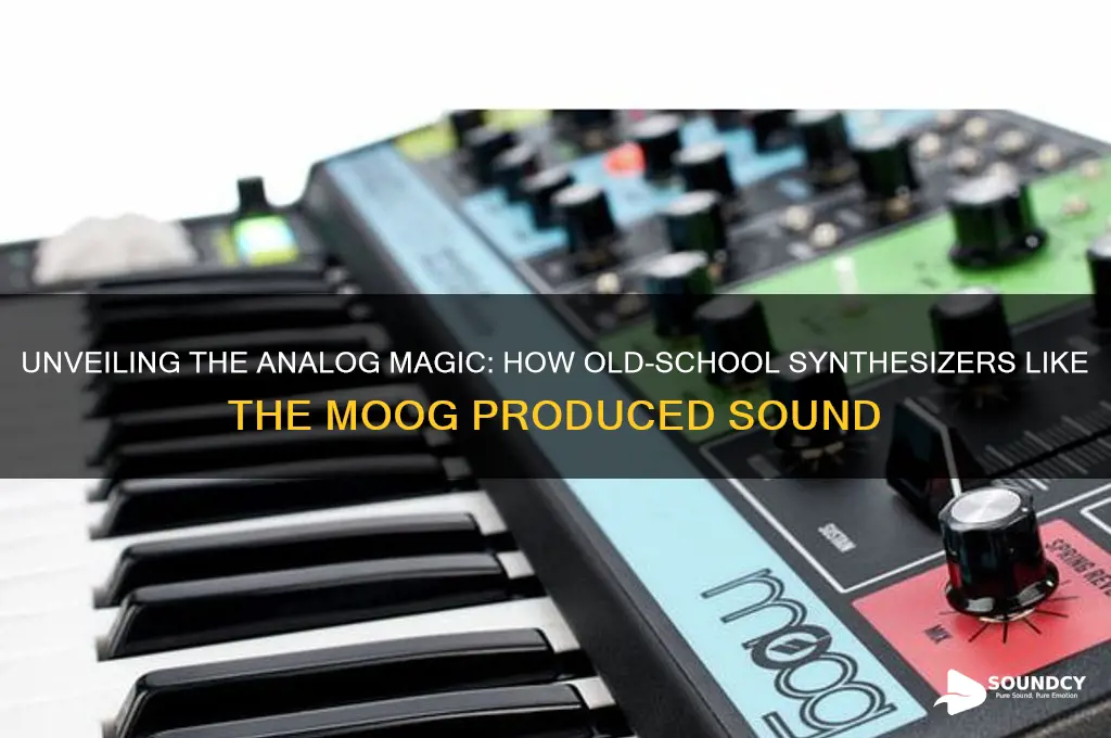 how old-school synthesizers like the moog produced sound