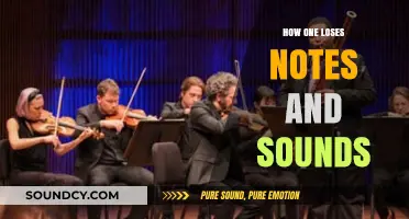Vanishing Melodies: Understanding How Notes and Sounds Fade Away