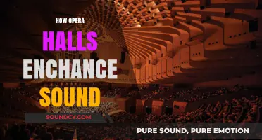The Acoustic Magic: How Opera Halls Amplify and Enrich Sound