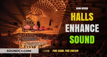 The Acoustic Magic: How Opera Halls Amplify Sound Naturally