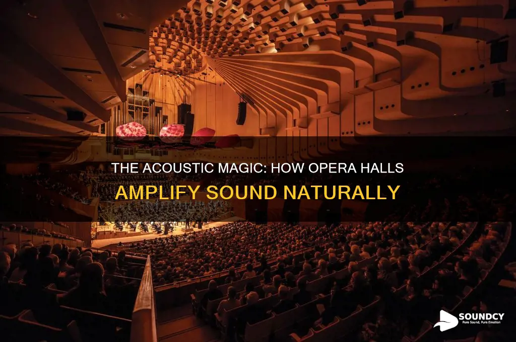 how opera halls enhance sound
