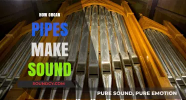 Unveiling the Science Behind Organ Pipes' Majestic Sound Production