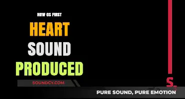 Understanding the Mechanism Behind the First Heart Sound Production