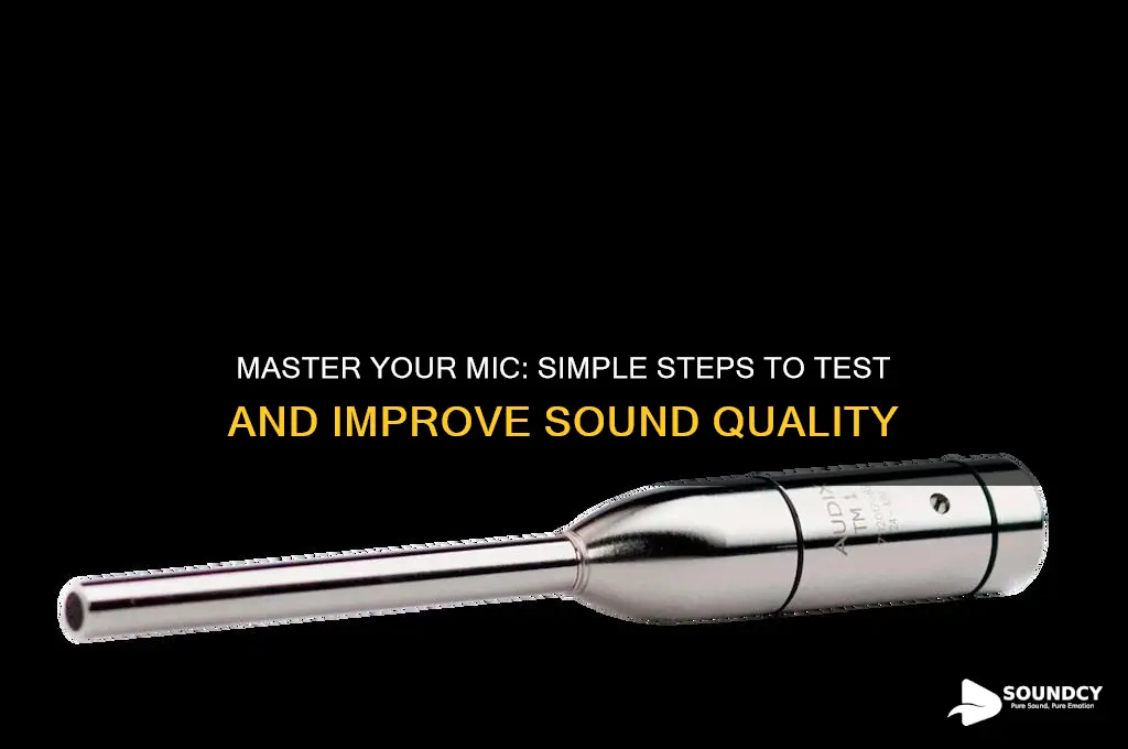 how ot check how mic sounds