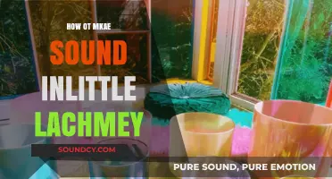 Creating Sounds in Your Little Lachmey: A Beginner’s Guide
