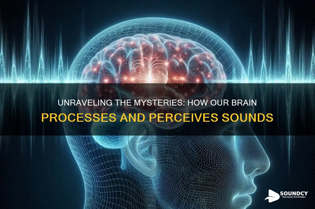 how our brain orecive sounds