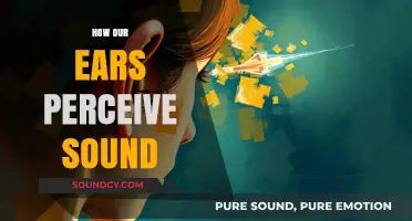 Unraveling the Mysteries of How Our Ears Perceive Sound Waves