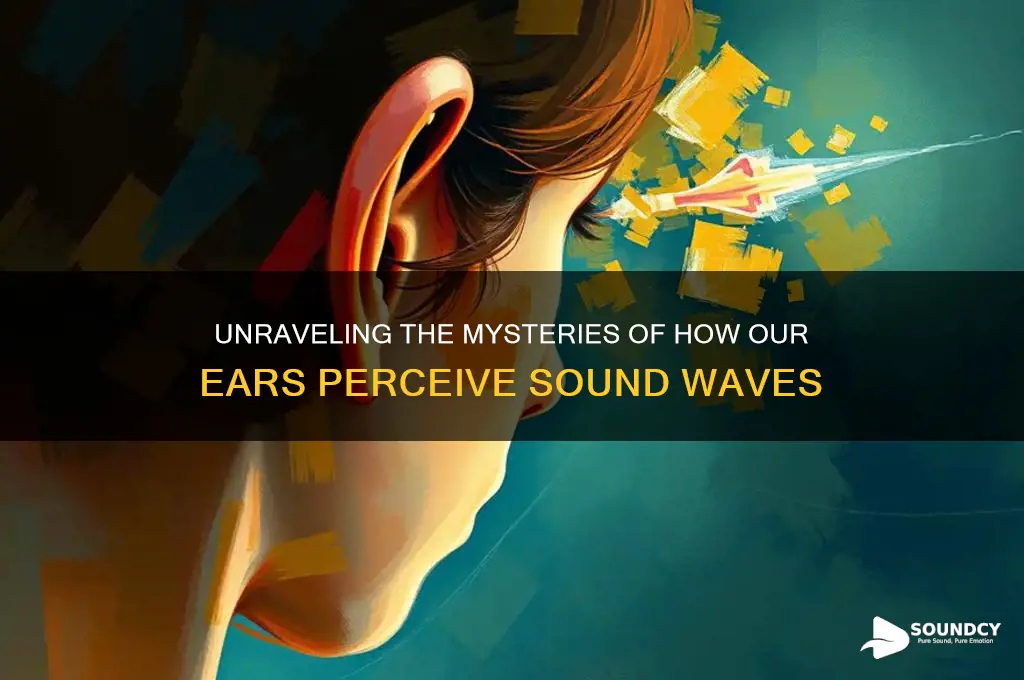 how our ears perceive sound