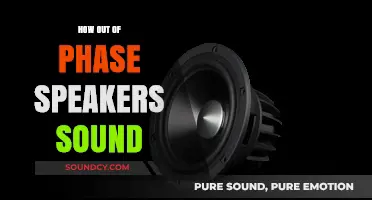 Out of Phase Speakers: Unraveling the Distorted Audio Experience