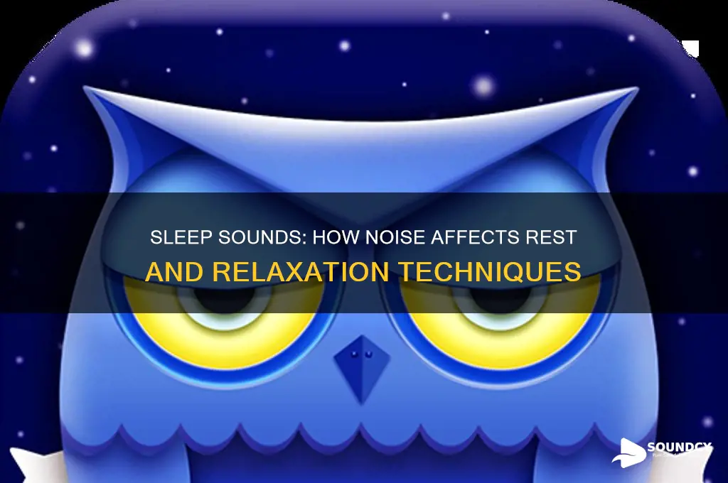 how people sleep with sound