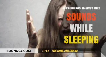 Tourette's Syndrome and Sleep: Understanding Nocturnal Vocalizations