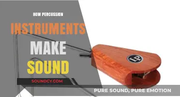 Exploring the Vibrant World of Percussion: How Instruments Create Sound