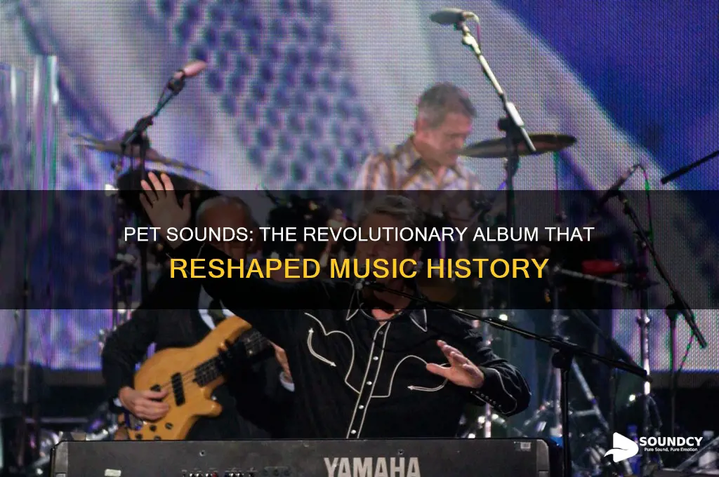 how pet sounds chnaged hsitort
