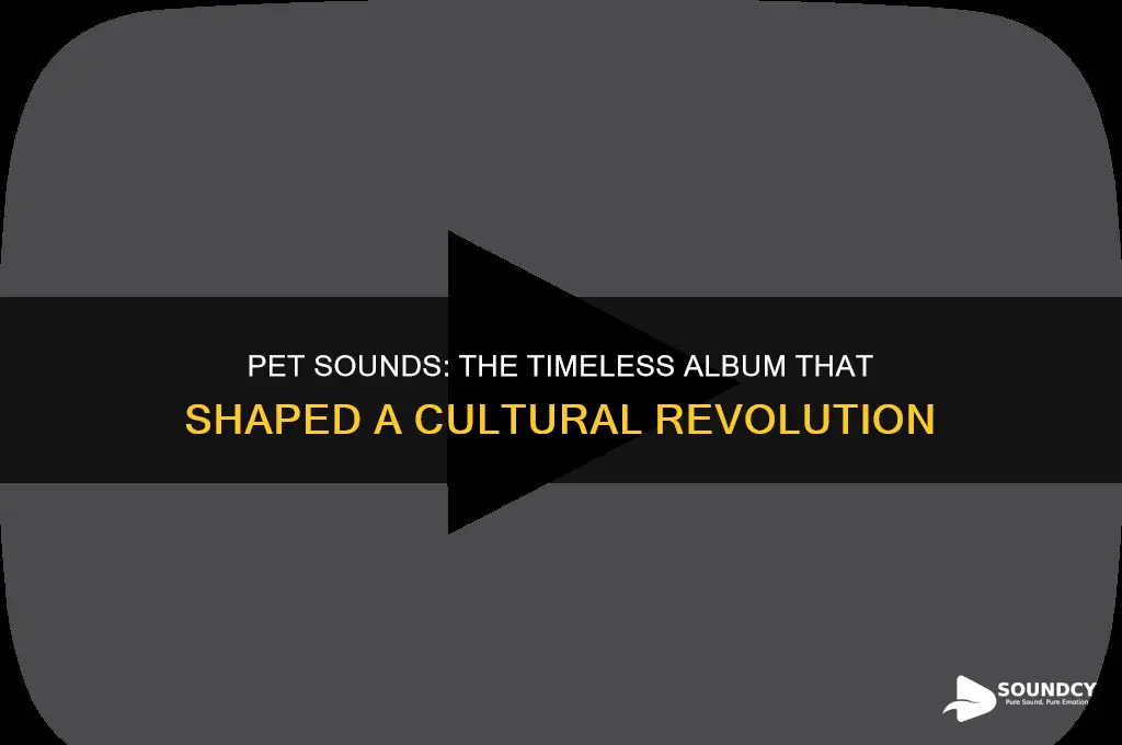 how pet sounds defined a generation