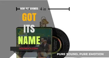 The Surprising Story Behind The Beach Boys' Pet Sounds Title