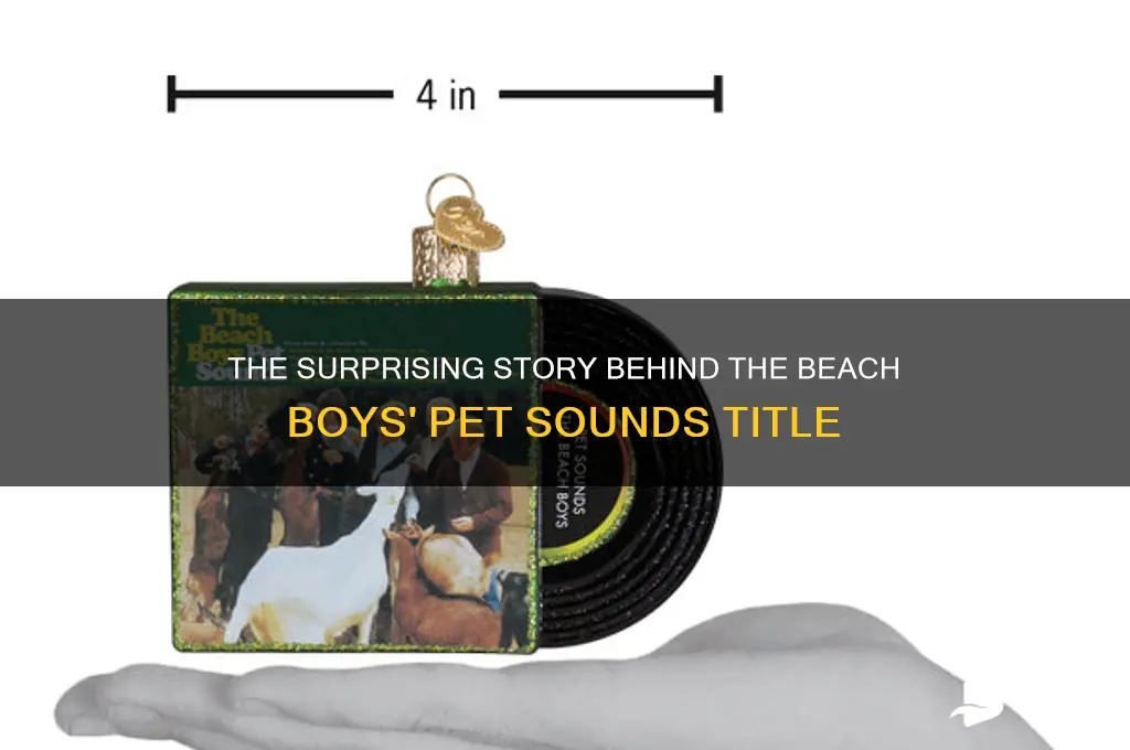 how pet sounds got its name
