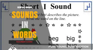 Decoding Pig Sounds: Understanding Their Unique Vocalizations in Words