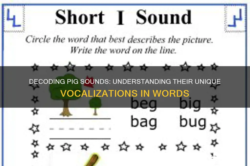 how pig animal sounds in words