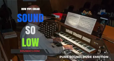 Unveiling the Majestic Bass: How Pipe Organs Produce Deep, Resonant Sounds