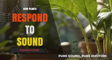 Listening Leaves: Unveiling How Plants Respond to Sound Waves
