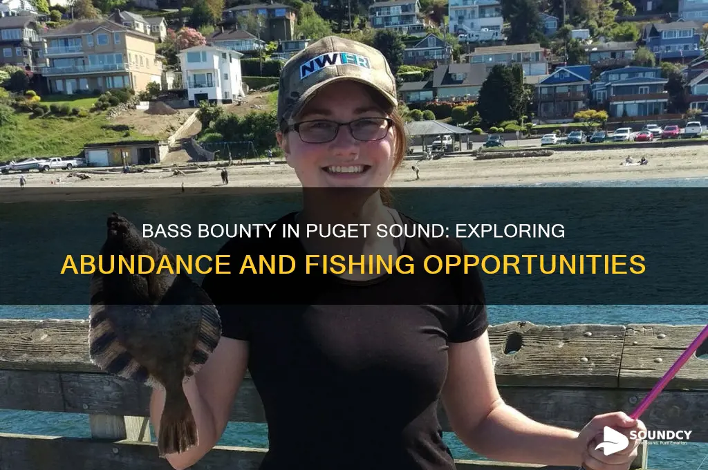 how plentiful are bass in the puget sound area