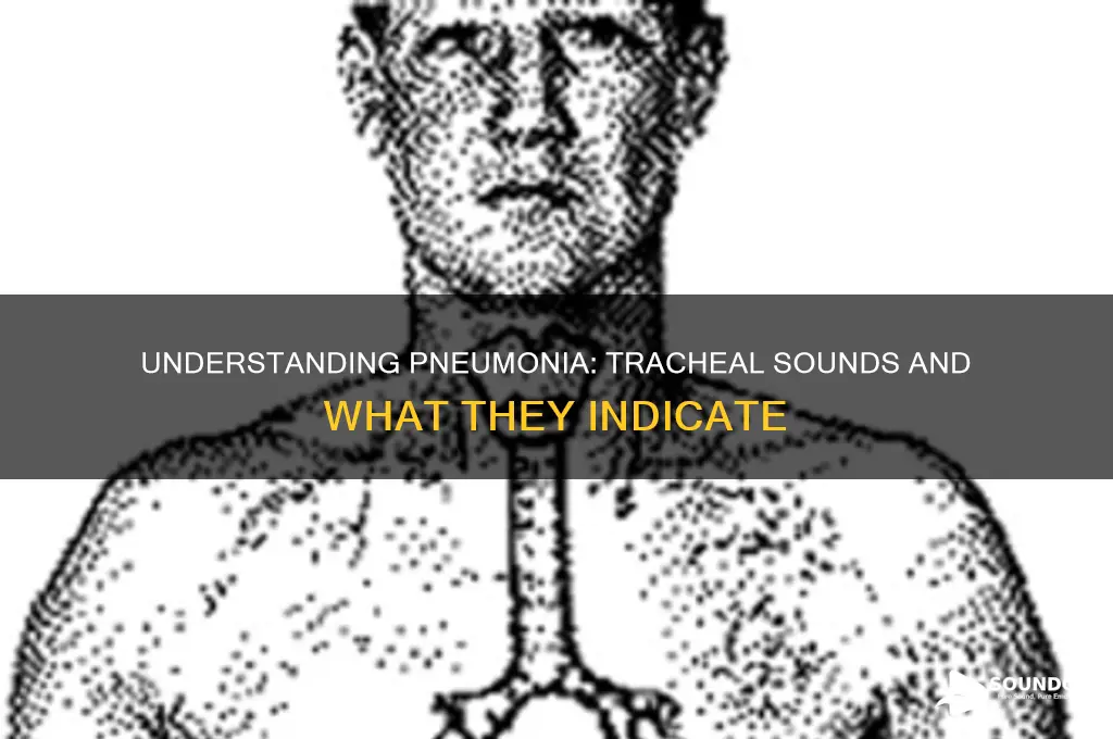 how pneumonia patient trachea sounds