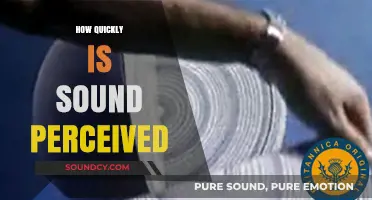 The Speed of Sound Perception: How Fast Do We Hear?