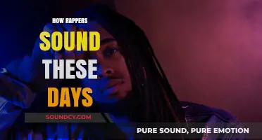 Modern Rap Evolution: Analyzing the Unique Sounds of Today's Rappers