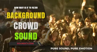 Efficiently Filtering Background Crowd Noise: A Simple Guide to Clarity