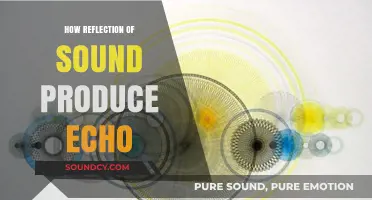 Understanding Echo: How Sound Reflection Creates Delayed Reverberations