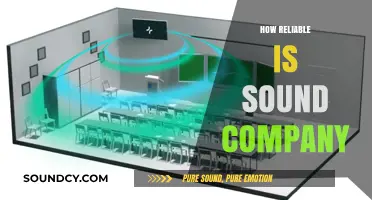 Evaluating Sound Company's Reliability: A Comprehensive Analysis and Review