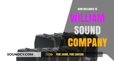 Is William Sound Company Trustworthy? Evaluating Its Reliability and Performance