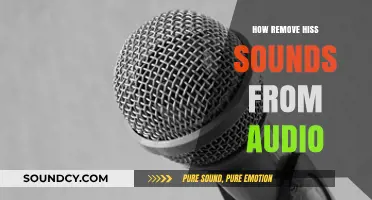 Effective Techniques to Eliminate Annoying Hiss Sounds from Your Audio