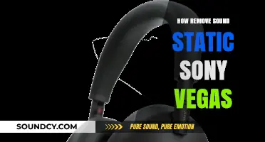 Eliminate Static Noise in Sony Vegas: A Quick Guide