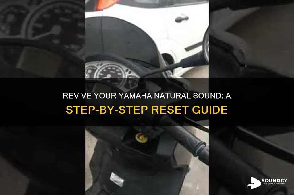 how reset your yamha natural sound