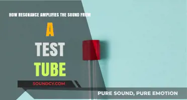 Resonance Unveiled: Amplifying Test Tube Sounds Through Vibrational Harmony