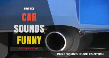 Why Rice Car Exhaust Sounds Hilariously Unique and Unmistakable