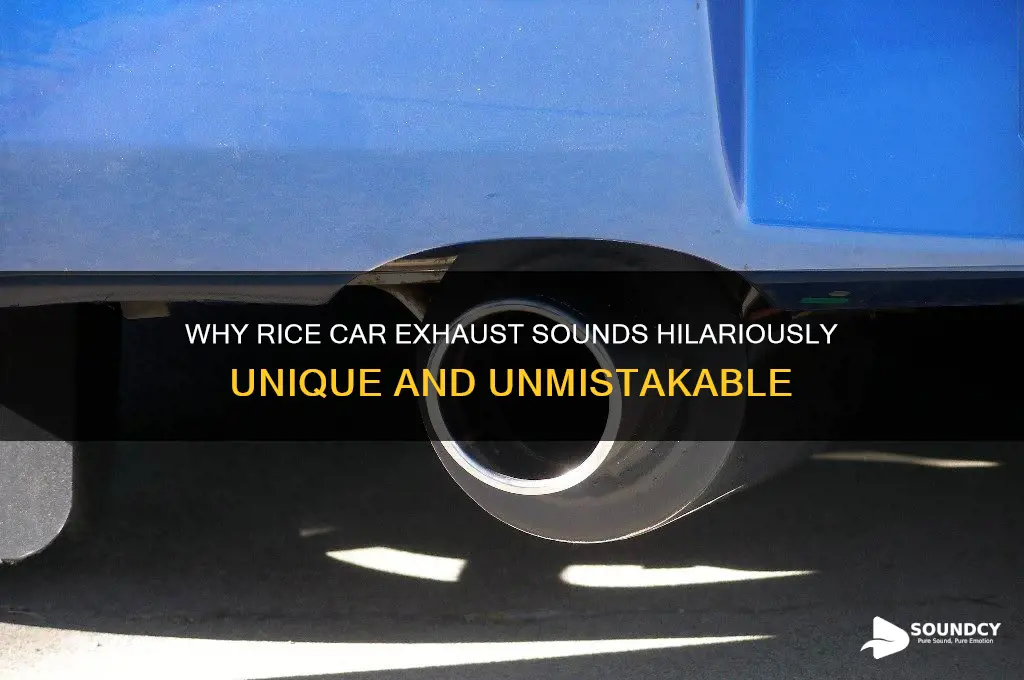 how rice car sounds funny