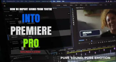 Importing YouTube Audio into Premiere Pro: A Step-by-Step Guide