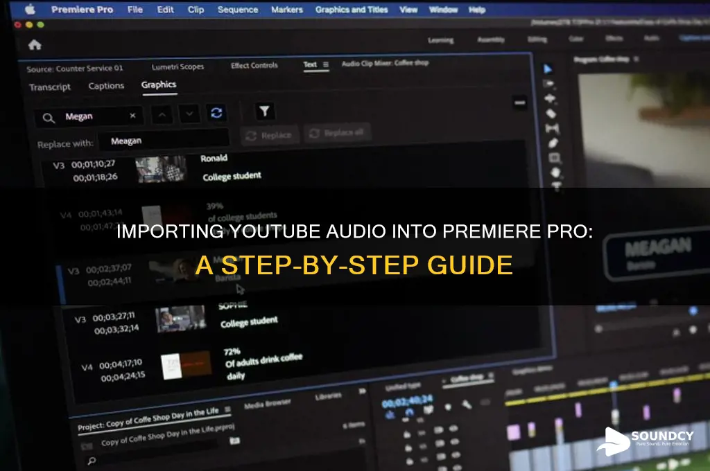 how ro import sound from youtbe into premiere pro