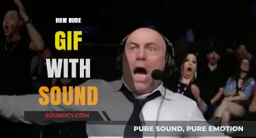 How Rude GIF with Sound: Adding Audible Sass to Your Reactions