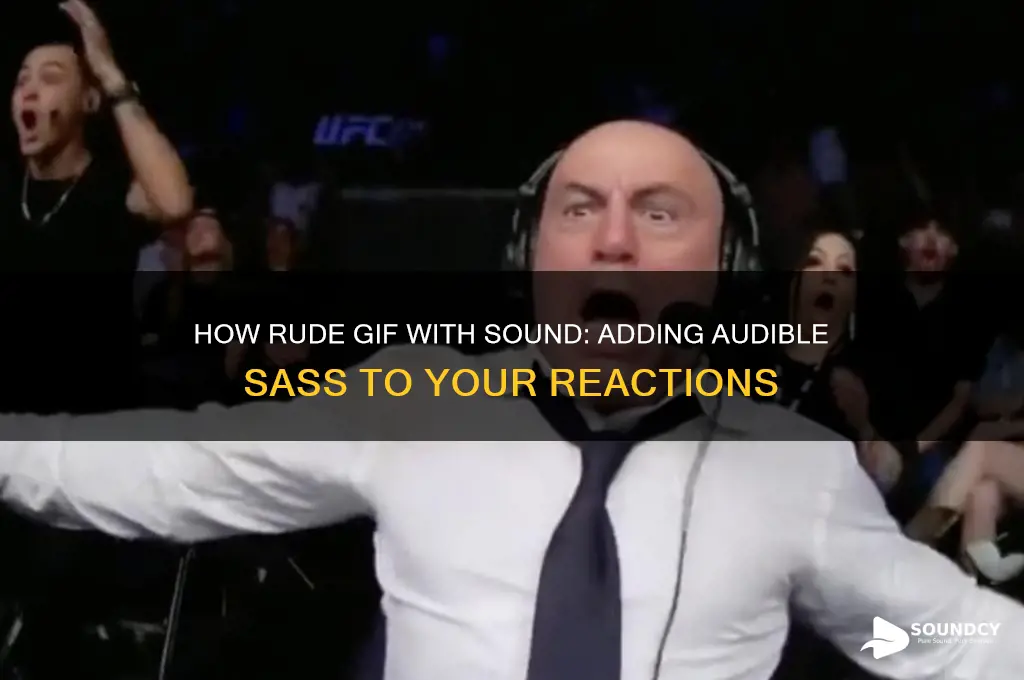 how rude gif with sound