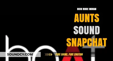Snarky Snapchats: Decoding the Blunt Humor of Indian Aunties