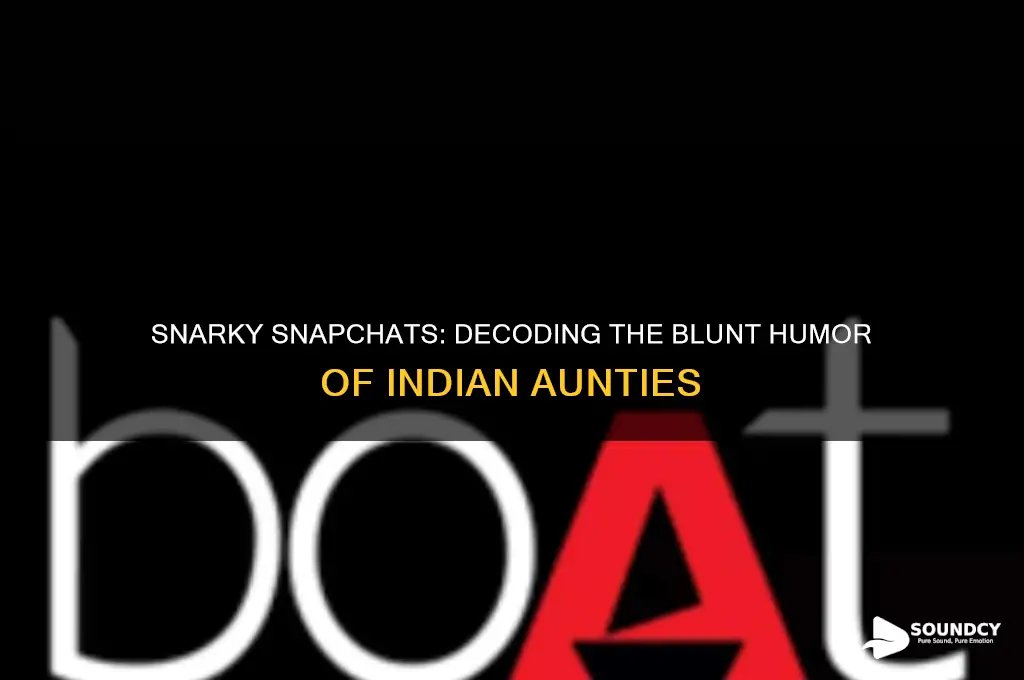 how rude indian aunts sound snapchat