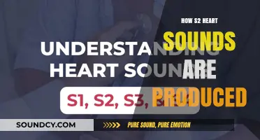 Understanding the Mechanism Behind S2 Heart Sounds Production
