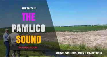 Exploring Pamlico Sound's Salinity: Unveiling Its Unique Brackish Waters