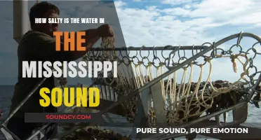 Exploring Mississippi Sound's Salinity: Unveiling the Water's Salt Content