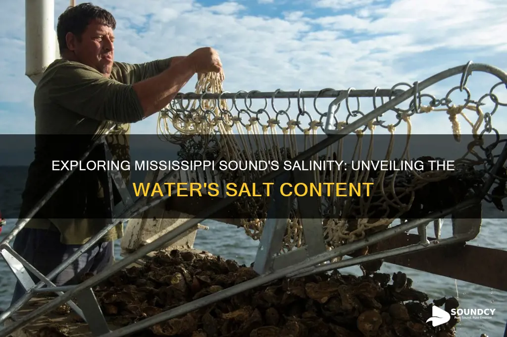 how salty is the water in the mississippi sound