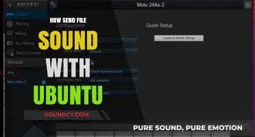 How to Send Audio Files Efficiently Using Ubuntu: A Quick Guide
