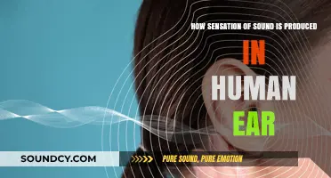 Unraveling the Science Behind How Human Ears Perceive Sound Sensation